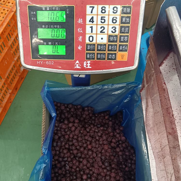 Ten kilogram carton of IQF frozen blueberries on a weighing scale
