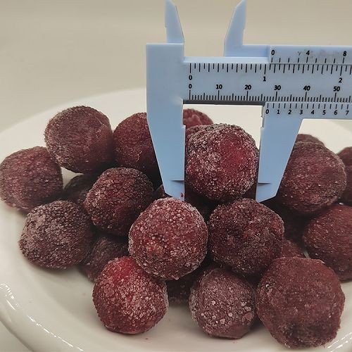Frozen Red bayberry(001)