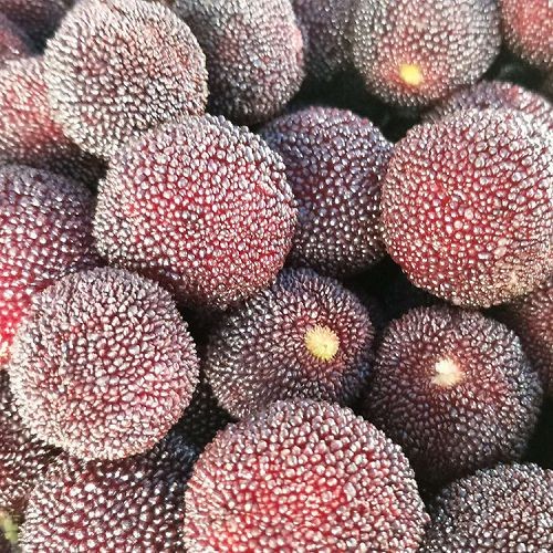IQF Red bayberry(001)