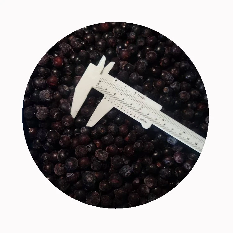 packed frozen blueberries for freezer storage packed frozen blueberries for freezer storage