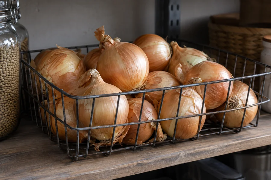 Whole dry onions in an open wire pantry basket with air space